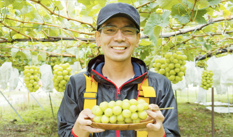 千歳屋果樹園園主のイメージ画像